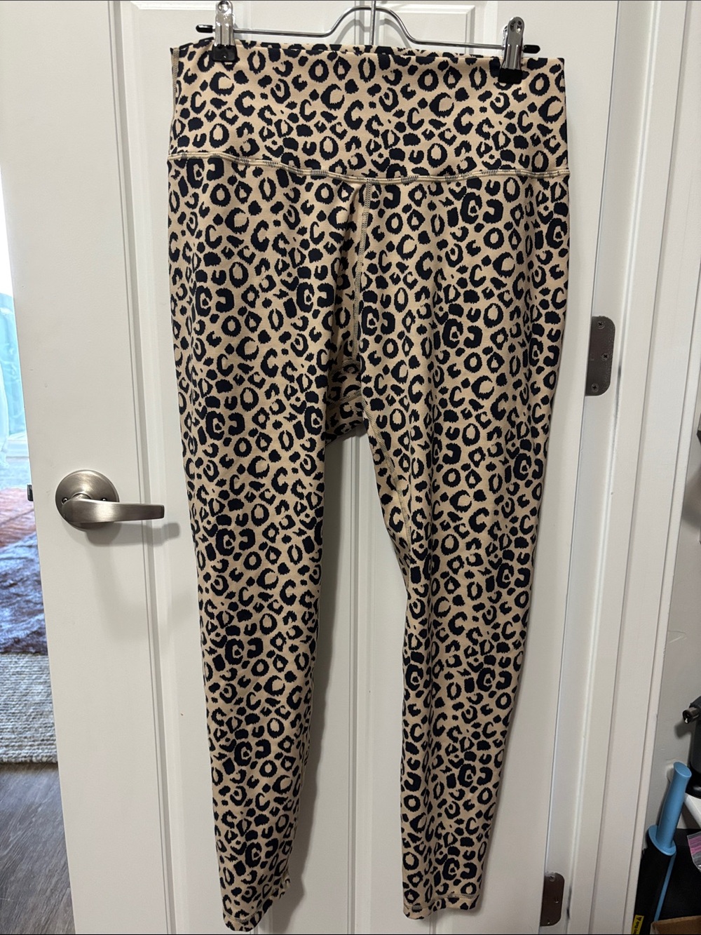Aluva Leopard Print High-Waist Leggings